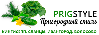 PRIGSTYLE